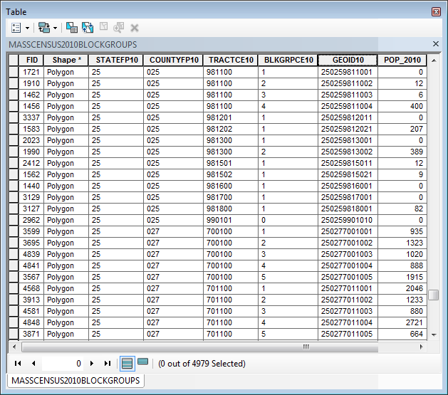 Census Block Attribute Table with Population